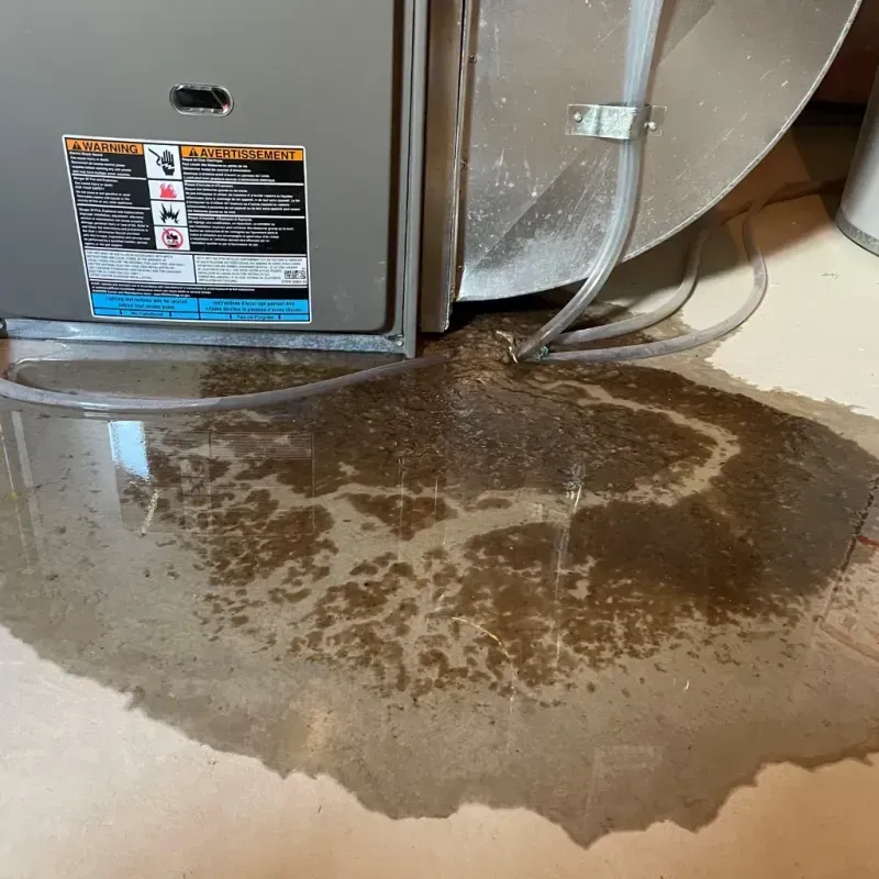 Appliance Leak Cleanup in Bolivia, NC